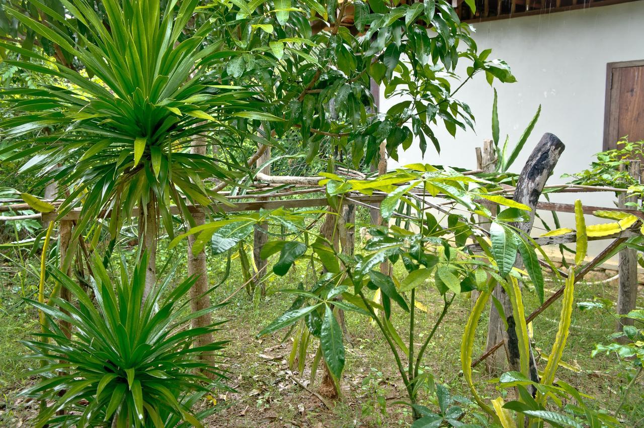 Khmer Hands Kep Ngoại thất bức ảnh